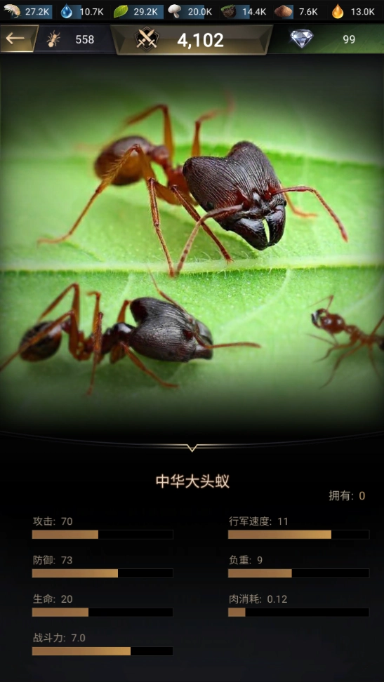 小小蚁国蚂蚁战力榜揭秘四大强力蚁种[多图]