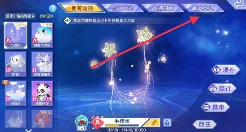 qq炫舞手游甜梦小枕升级方法甜梦小枕进阶升级攻略