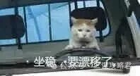 《三谋》S11先锋服情报速报！新武将携金韬略登场，孟获与祝融夫人开荒表现惊艳，或成新一代开荒热门