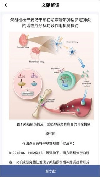 pubmed汉化版图1