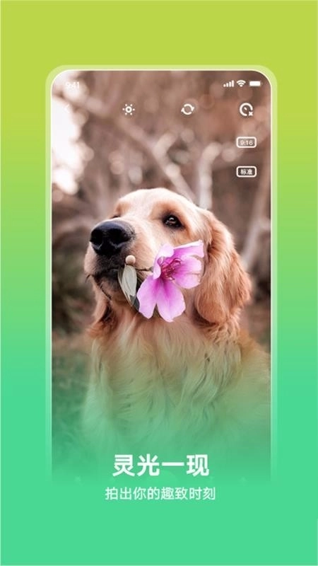 趣致最新版图3