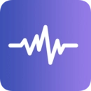 终极变声器正版