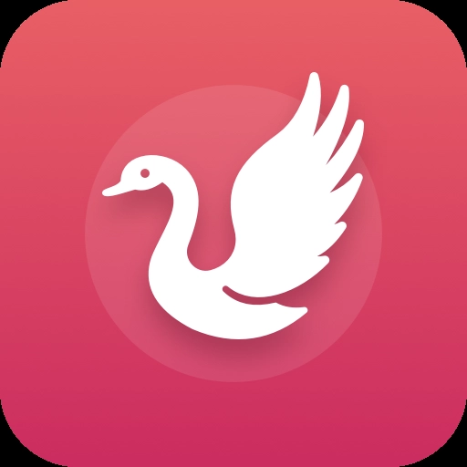 白天鹅追剧免费观看