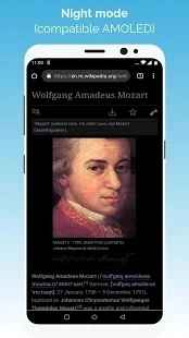 kiwi浏览器手机版图3