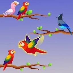 鸟类分类颜色拼图手机版