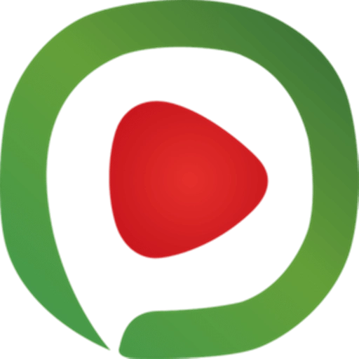 老式西瓜播放器