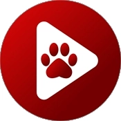 Bear Player中文版