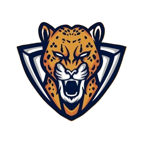 野豹直装手机版