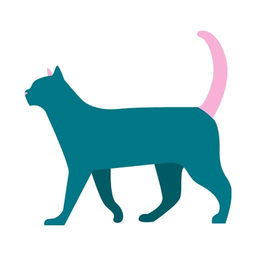 mHook管理器热修最新版