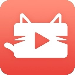 猫咪软件安装手机版