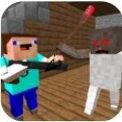 可怕奶奶方块世界游戏