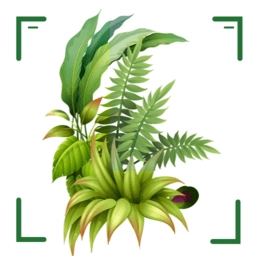 识万物扫一扫软件最新免费版