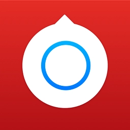 小决定转盘中文版