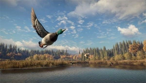 猎人荒野的召唤手机版