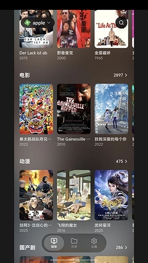 卡皮巴拉播放器安装