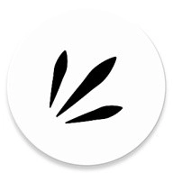 Rays表情包管理工具最新版