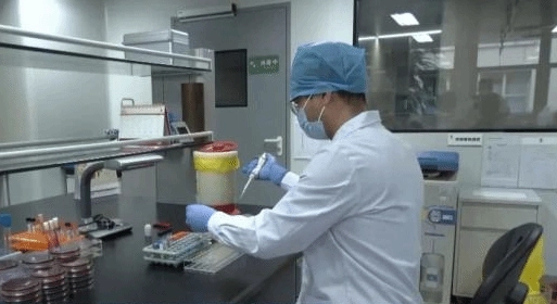 男子把五步蛇当作宠物饲养，亲手喂食时被咬伤，最终导致截肢