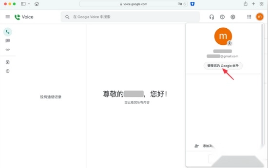 googlevoice中文版下载