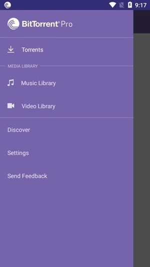 bittorrent免费版图3