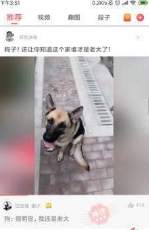 挖趣视频