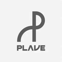 plave应援棒