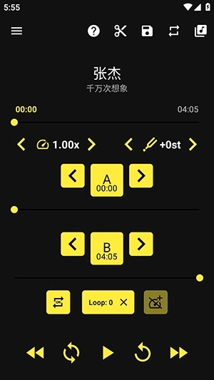 Loop Player安卓版