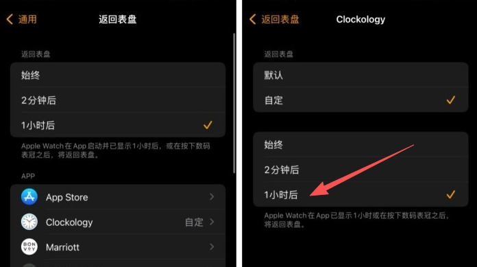 clockologyapp下载