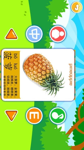 儿童益智切水果图2