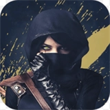 小偷模拟器汉化版