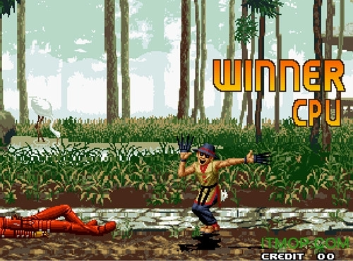 拳皇2026卧虎藏龙加强版(2)