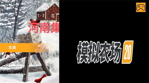 模拟农场20(中国卡车)(4)