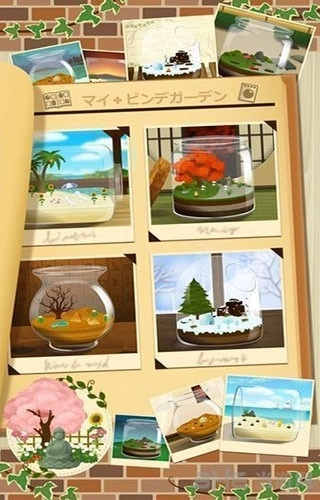 瓶中花园安装(1)