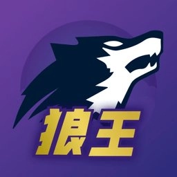 狼王软件