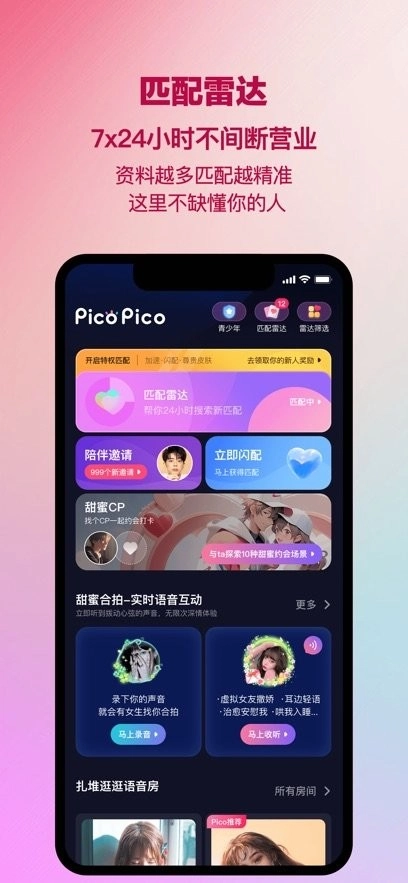 PicoPico软件