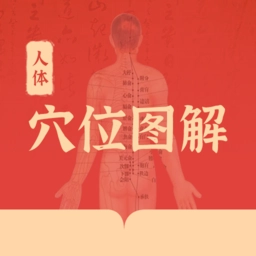 人体穴位图解通用版
