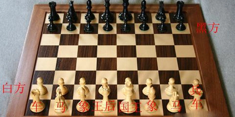 国际象棋单机版最新下载