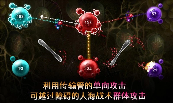 繁殖战争2手游免费版图2