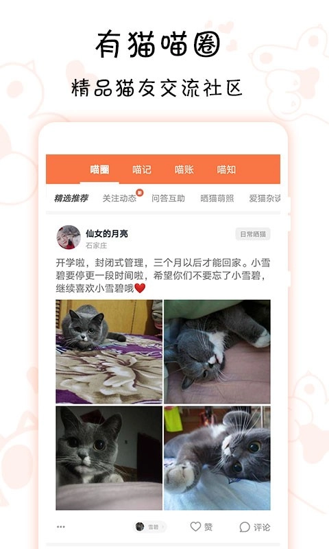 领喵手机最新版