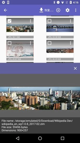 diskdigger安卓中文版