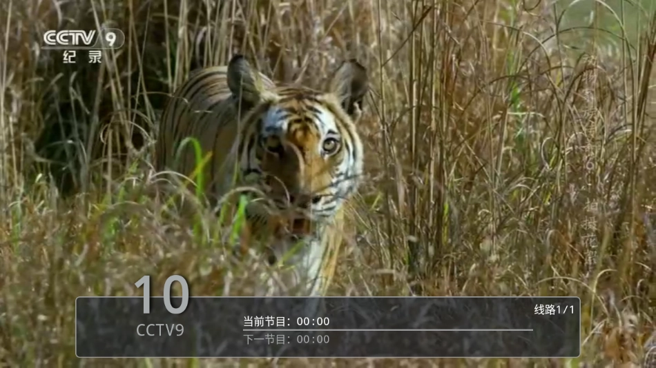 剧迷宝TV安卓免费版图4