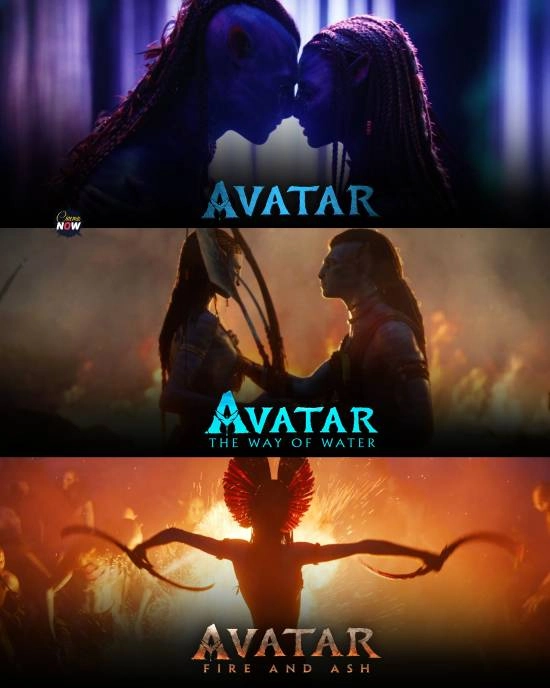 票房最高的电影三部曲归属已定——《阿凡达》成功击败《星球大战》和《蜘蛛侠》