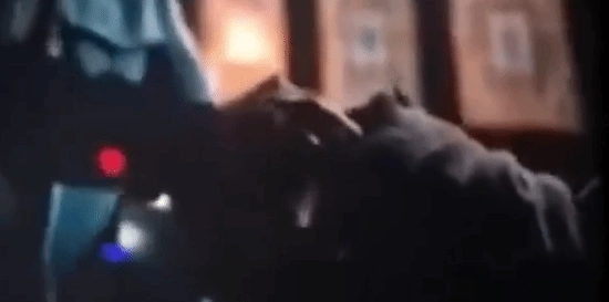 《复仇者联盟5：毁灭之日》最新预告遭提前曝光，万磁王、X教授和镭射眼均有出镜！