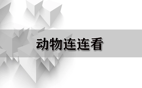 动物连连看全收录-动物连连看哪款更出色