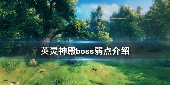 英灵神殿里各个boss都有什么弱点呢？这里为你介绍英灵神殿boss的弱点信息