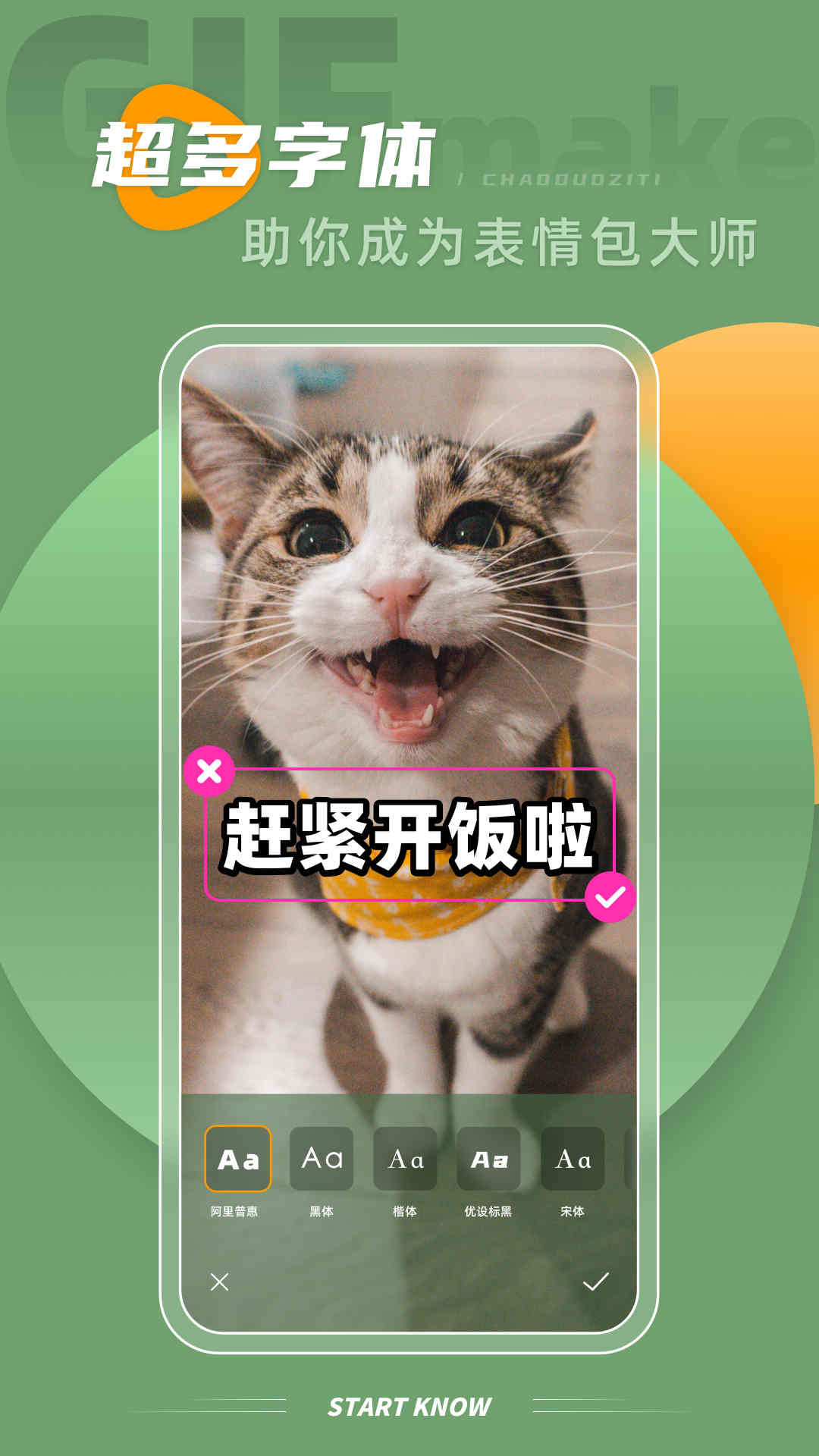 intoLive4