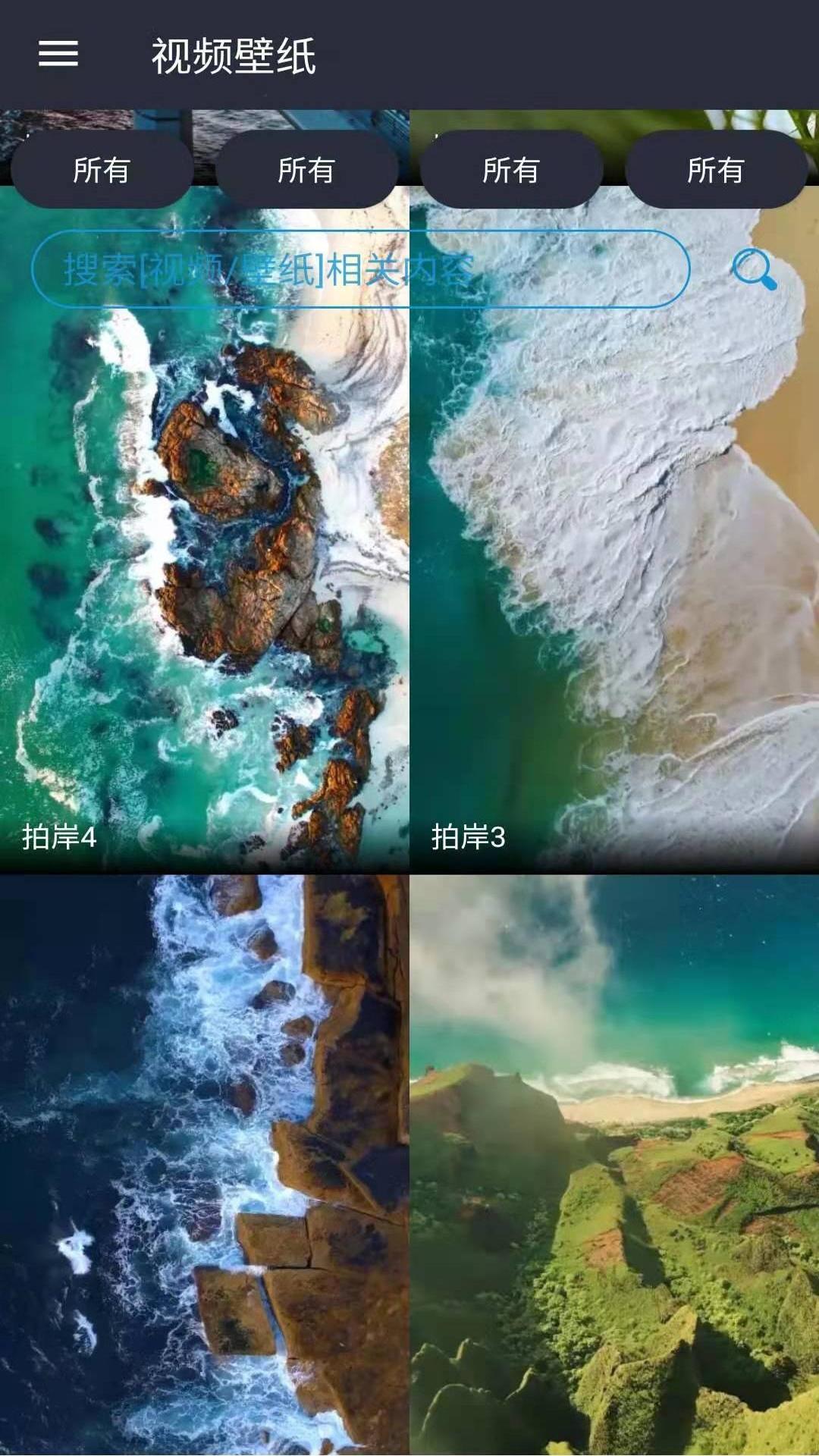 视频壁纸截图1