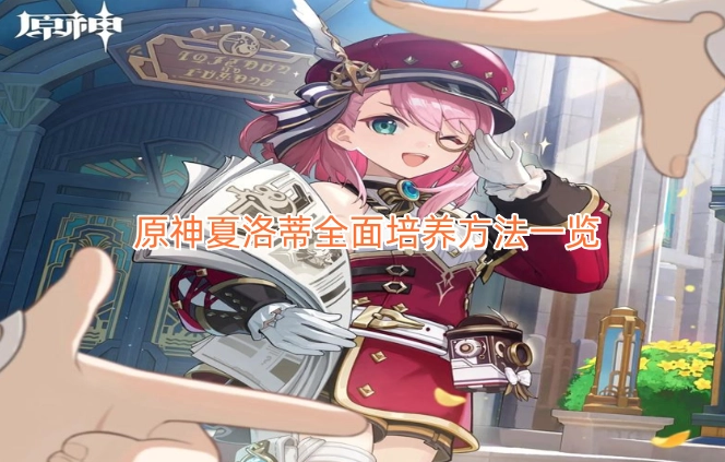 原神夏洛蒂完整培养指南全解