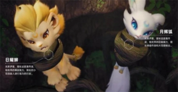 伊莫日辉狮和月辉狐的选购参考指南