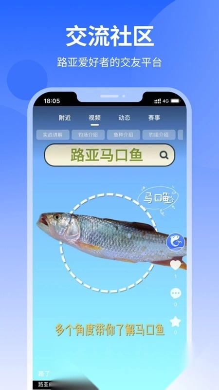 路了个鱼最新版