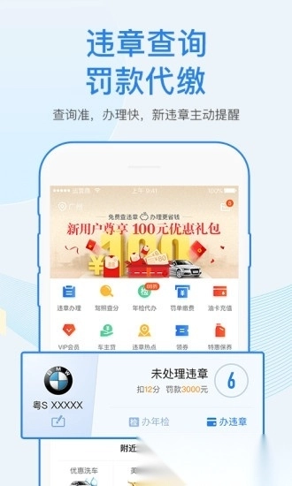 车行易查违章软件